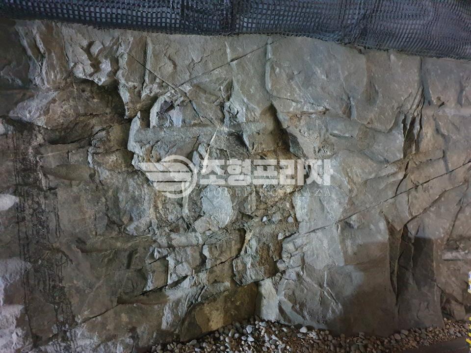 2000769928_4wnWTlYz_ad850ef31fa61d6f16ed528dfeb97776eee10379.jpg 이미지크게보기