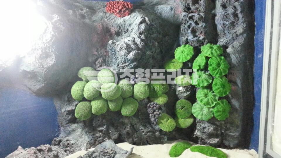 2000769928_JmfcXv7P_344646ecd5951ab643696fc69a6bfb975e21d7f8.jpg 이미지크게보기