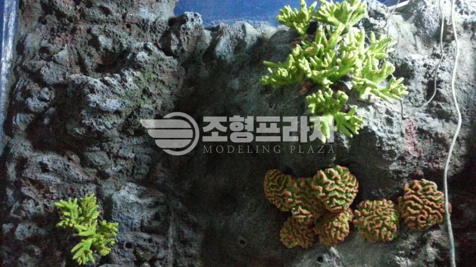 2000769928_PZiUV7Bx_477747ff96c8aa7c39e946bff90baf2b4f0c3a94.jpg 이미지크게보기