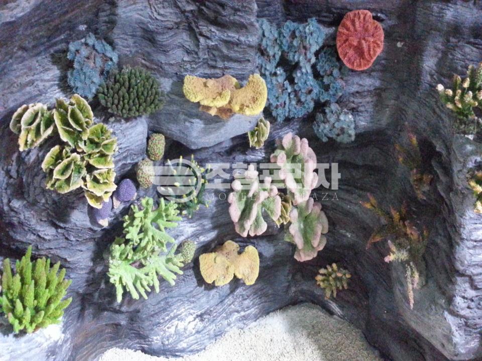 2000769928_n6q4sBO7_c9a63740f1147474170f7c95a950867449ebdcd6.jpg 이미지크게보기