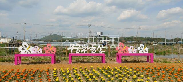 1890111193_uy1FLEhw_9b3342bf6d7d7378fc6ec589089e4896e6b2e54d.jpg 이미지크게보기