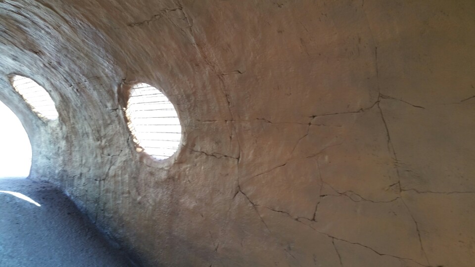 3529484341_6q7KajTJ_92d908ba8f0ef46b25ad102ab9913cd938da8a26.jpeg 이미지크게보기