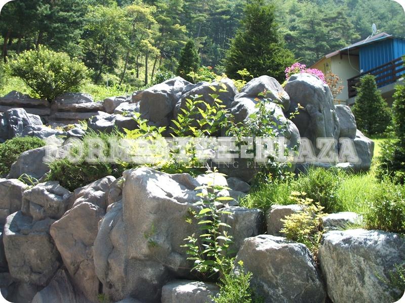 2000769928_BSTxY47k_d97a0f4040a10d312893971db8e9682f1a1a4066.jpg 이미지크게보기