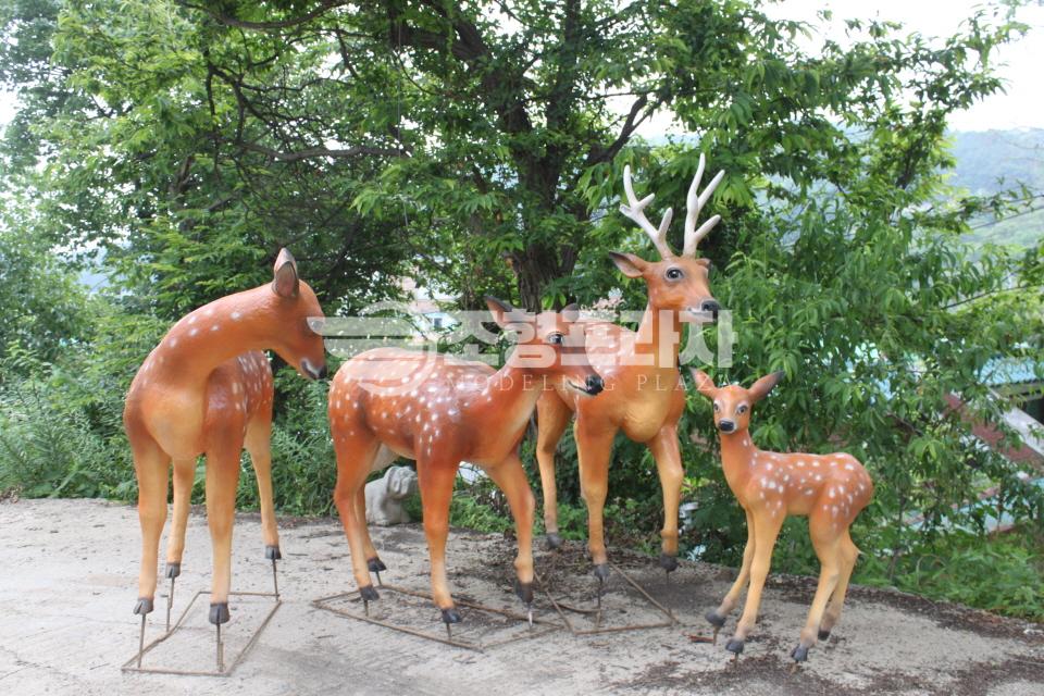 2000769928_8EPUjnpu_36782dc44cacd295a17e17d1559522b32bb9e0df.jpg 이미지크게보기