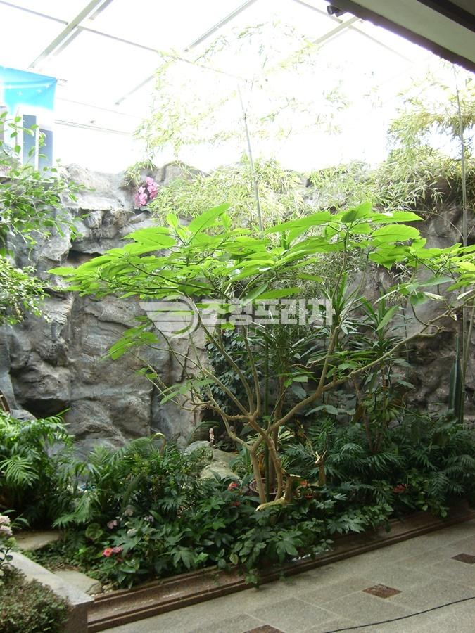 3529484341_HFEA5XUW_da87e0818fabe1856211e56048dd43c66e394d30.JPG 이미지크게보기